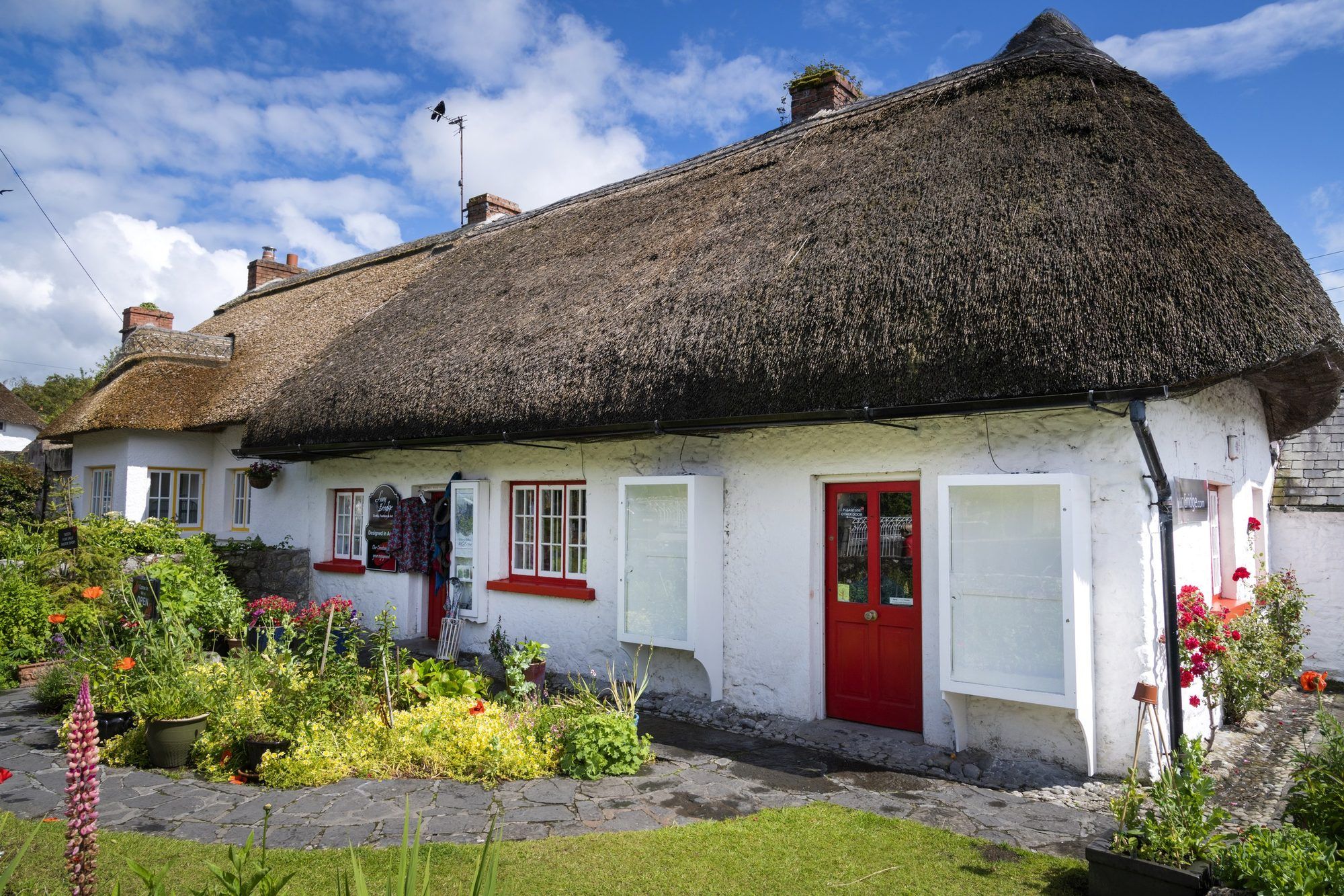 A white thatched cottage with a red door and flowers in Adare village