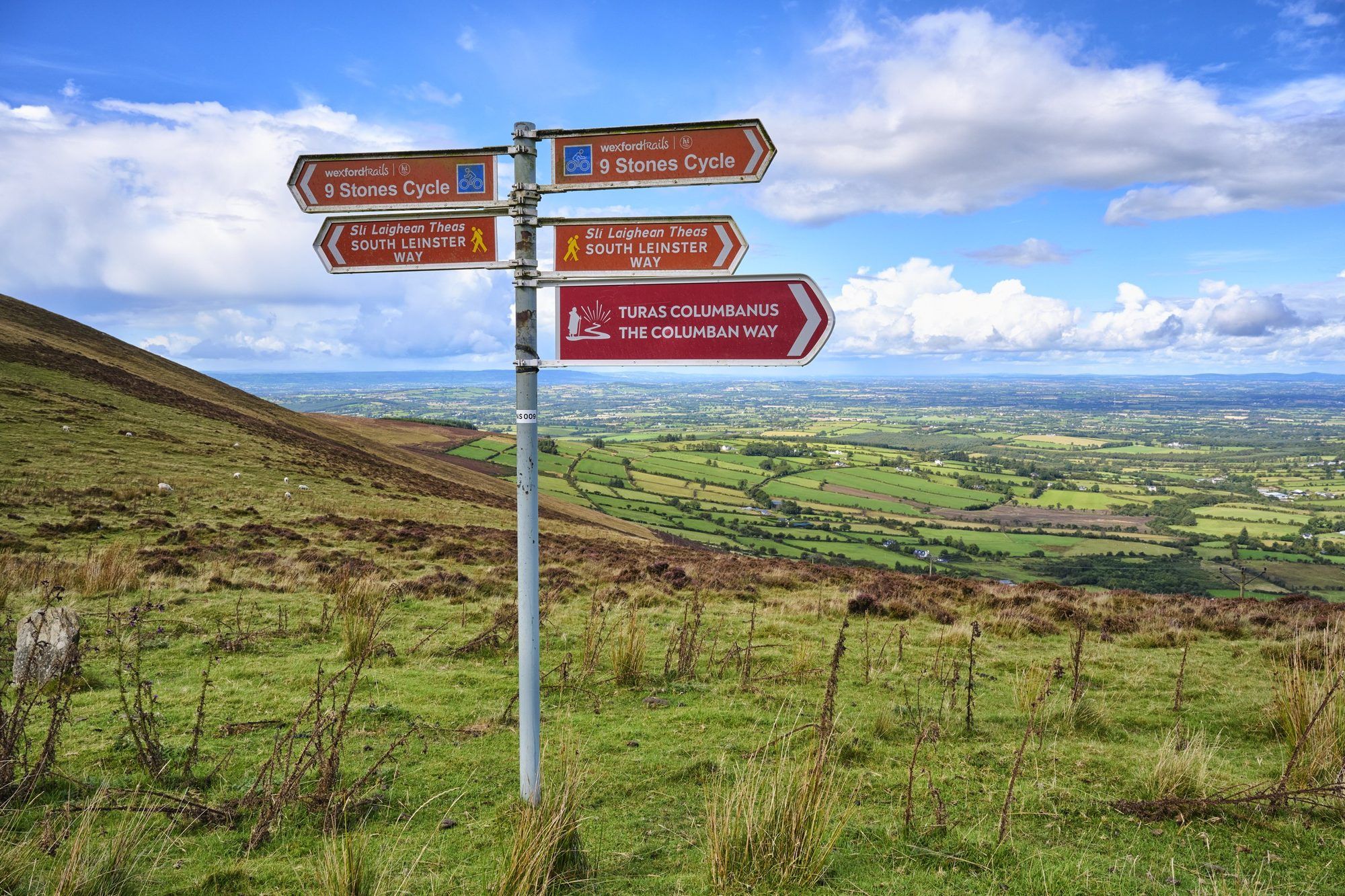 Walking trail signposts on the Blackstairs Mountains looking over the Carlow countryside