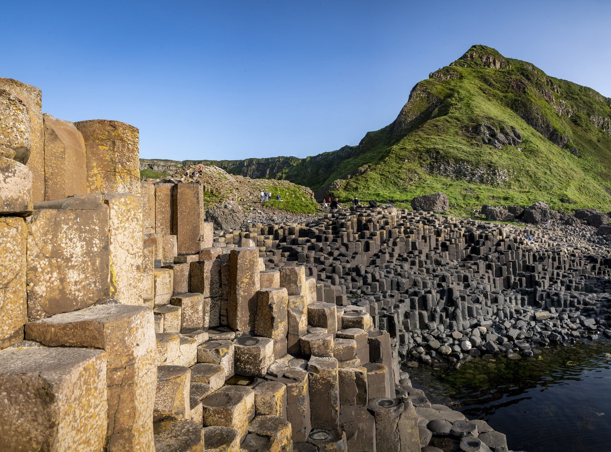 Basalt columns of the Giant's Causeway stepping down to the sea beneath a green headland