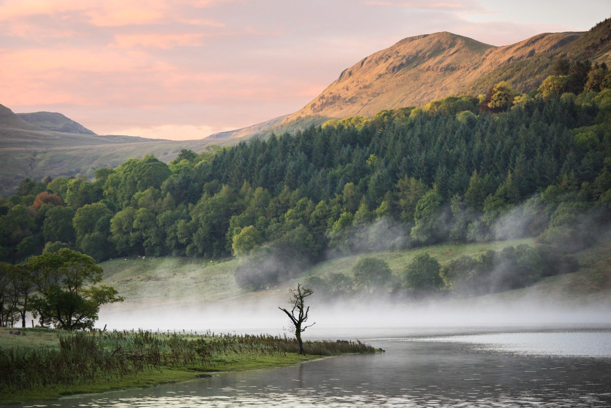 Mist over Glencar Lake below a forested mountainside at dawn