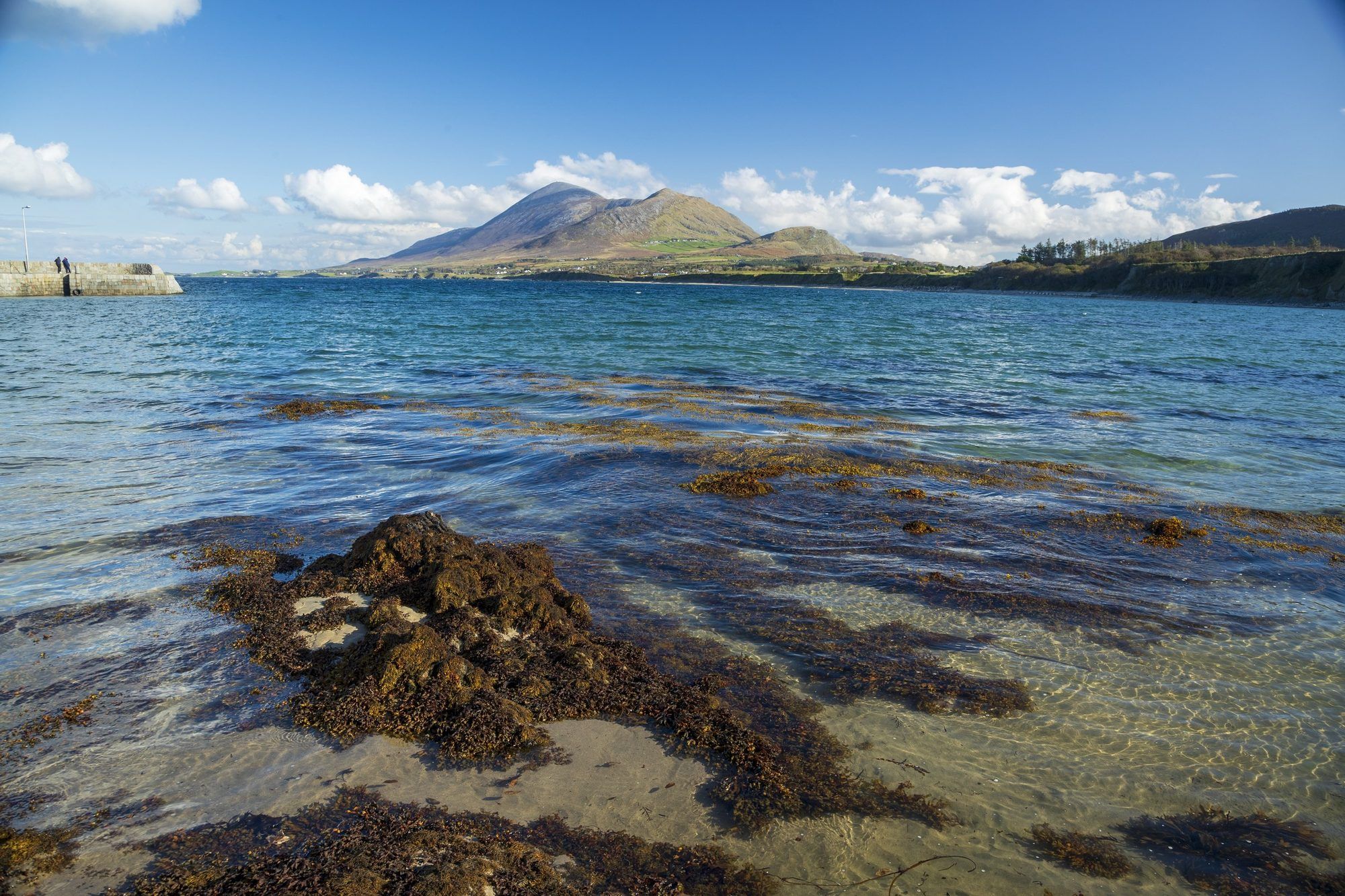 Croagh Patrick rising above Clew Bay, seen from the shore at Old Head
