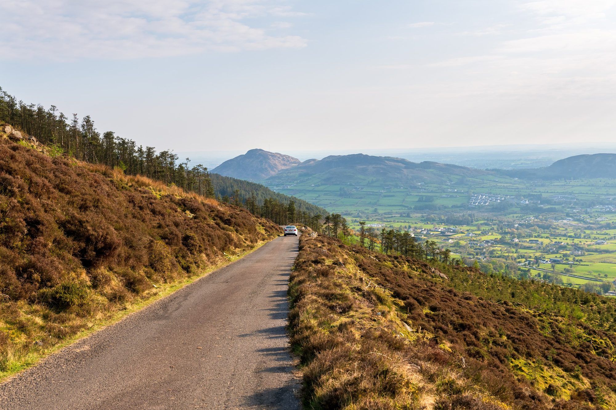 A forest road on Slieve Gullion with views over the Ring of Gullion